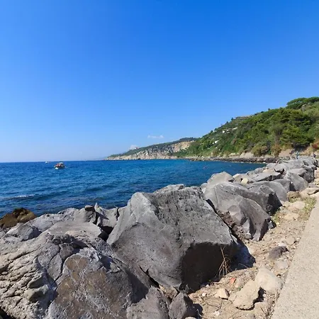 Carlotta - Relax A Due Passi Dal Mare *